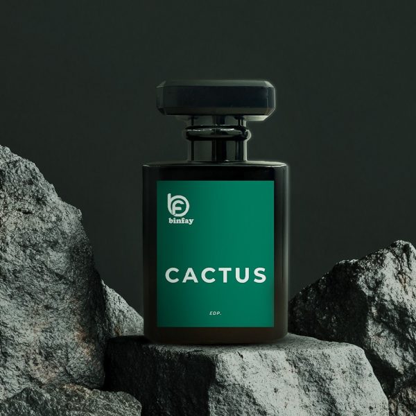 Cactus - (EDP)